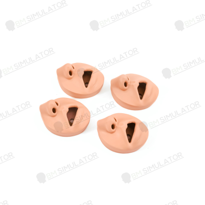 A006 หุ่นฝึกการทำ CPR