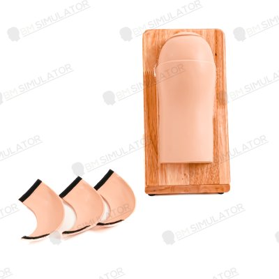 M003  หุ่นฝึกการฉีดยาชั้นกล้ามเนื้อแขน ( Deltoid Injection)