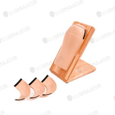 M003  หุ่นฝึกการฉีดยาชั้นกล้ามเนื้อแขน ( Deltoid Injection)