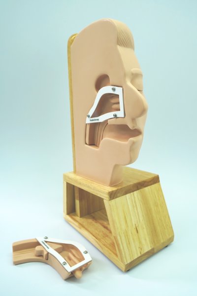 E015 หุ่นฝึกการห้ามเลือดภายในโพรงจมูก (แบบครึ่งซีกซ้าย) / Nasal Packing  Model  (Half Face - Left)