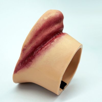 S075-2 หุ่นฝึกชันสูตรหญิง