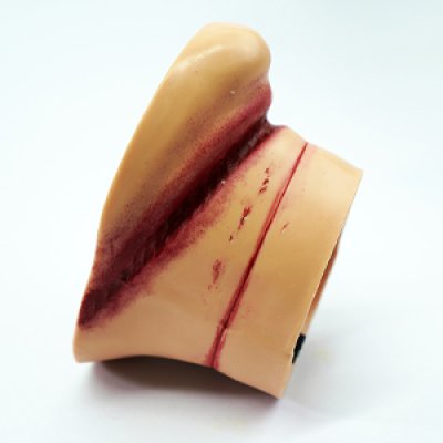 S075-2 หุ่นฝึกชันสูตรหญิง