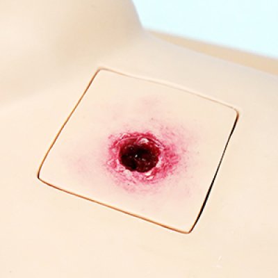 S075-2 หุ่นฝึกชันสูตรหญิง