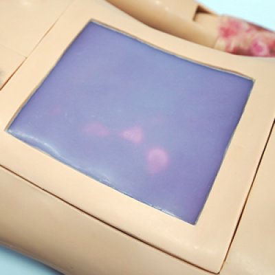 S075-2 หุ่นฝึกชันสูตรหญิง