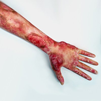 S075-2 หุ่นฝึกชันสูตรหญิง