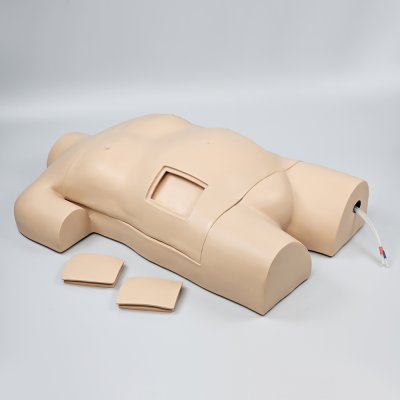 M009  หุ่นฝึกการเจาะช่องท้อง / Abdominal Paracentesis Simulator