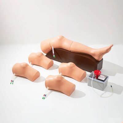 M007 หุ่นฝึกการเจาะน้ำข้อเข่า Knee  Aspiration  Simulator