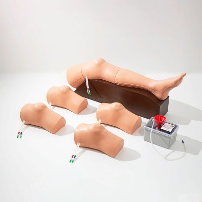 M007 หุ่นฝึกการเจาะน้ำข้อเข่า Knee Aspiration Simulator