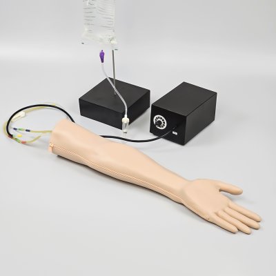 M012-1 หุ่นแขนฝึกการเจาะหลอดเลือดแดง /  Arterial puncture Arm  Simulator