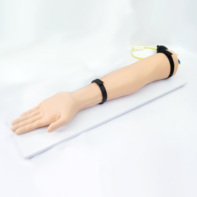 M012-2 หุ่นแขนฝึกการเจาะหลอดเลือดแดง (ลูกบีบ) /  Arterial puncture Arm  Simulator(copy)