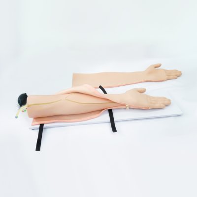 M012-2 หุ่นแขนฝึกการเจาะหลอดเลือดแดง (ลูกบีบ) /  Arterial puncture Arm  Simulator(copy)