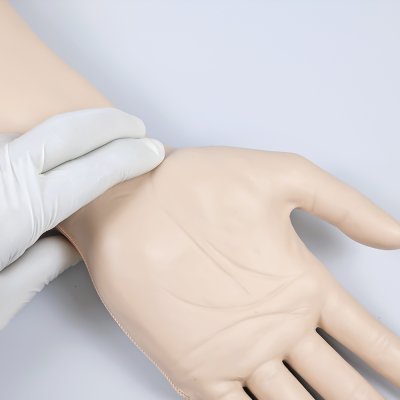 M012-1 หุ่นแขนฝึกการเจาะหลอดเลือดแดง /  Arterial puncture Arm  Simulator