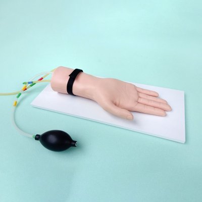 M014-2 หุ่นมือฝึกการเจาะหลอดเลือดแดง /  Arterial puncture Arm  Simulator(copy)