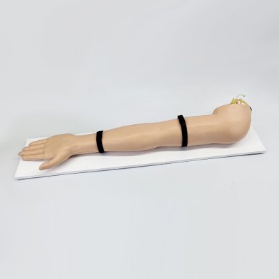 M016 หุ่นแขนฝึกการฉีดยาหลอดเลือดดำและเจาะหลอดเลือดแดง / IV & Arterial puncture  Arm Simulator