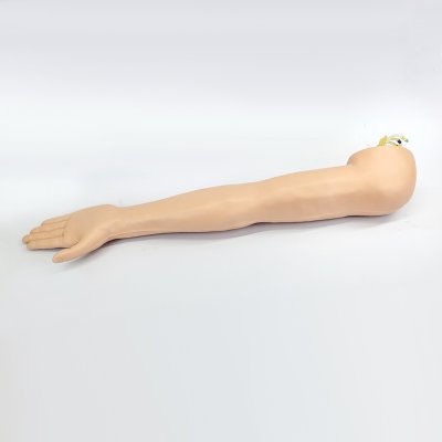 M016 หุ่นแขนฝึกการฉีดยาหลอดเลือดดำและเจาะหลอดเลือดแดง / IV & Arterial puncture  Arm Simulator