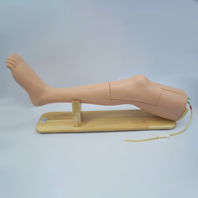 M031 หุ่นฝึกการเจาะน้ำข้อเข่า Knee  Aspiration  Simulator