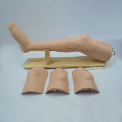 M031 หุ่นฝึกการเจาะน้ำข้อเข่า Knee  Aspiration  Simulator