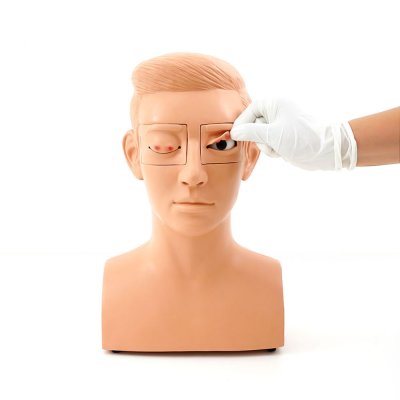 O005 หุ่นสาธิตการฝึกผ่าตัดตากุ้งยิง (Hordeolum) / Incision and Curettage Simulator