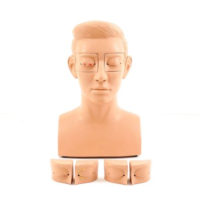 O005 หุ่นสาธิตการฝึกผ่าตัดตากุ้งยิง (Hordeolum) / Incision and Curettage Simulator