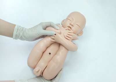 OG002 หุ่นฝึกการคลอด / Birthing  Model