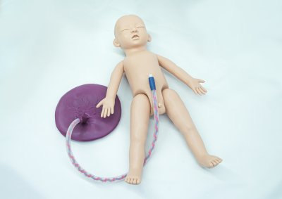 OG002 หุ่นฝึกการคลอด / Birthing  Model