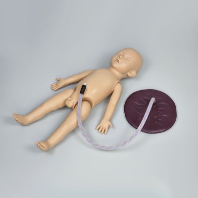 OG002 หุ่นฝึกการคลอด / Birthing  Model