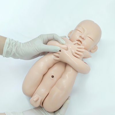 OG033 หุ่นฝึกการคลอดลูก แบบหน้าท้องใส / Birthing  Simulator
