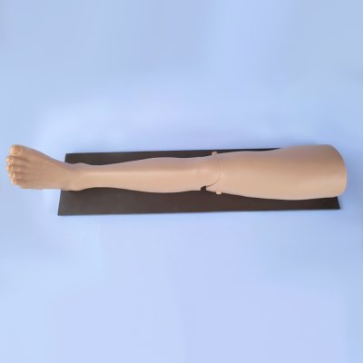 OT010 หุ่นขาฝึกทำ Skin  Traction / Skin Traction Simulator (Leg)