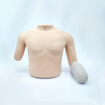 OT023 หุ่นฝึกการพันผ้าพันแผลบริเวณแขน / Stump Bandaging (Upper Limb)  Model