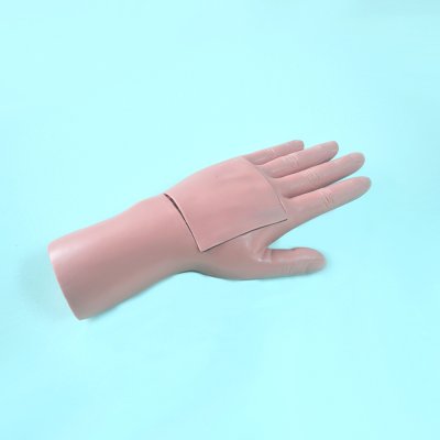 OT002 หุ่นฝึกการต่อเส้นเอ็นมือ / Extensor/Flexor  Tendon  Repair  Simulator