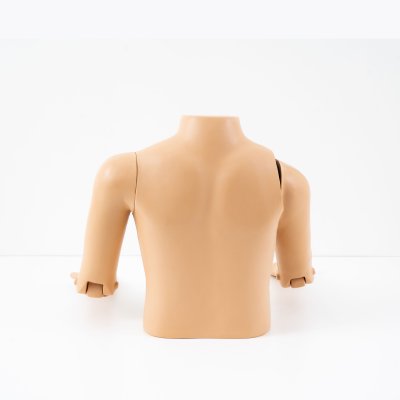 OT007 หุ่นฝึกการทำ Closed  Reduction ของ Shoulder  Dislocation	 / Shoulder  Dislocation  Model