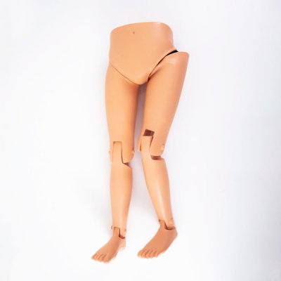 OT008 หุ่นฝึกการทำ Closed  Reduction ของ Hip  Dislocation / Hip   Dislocation  Model