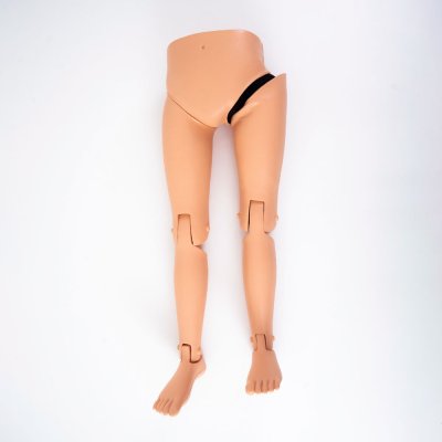 OT008 หุ่นฝึกการทำ Closed  Reduction ของ Hip  Dislocation / Hip   Dislocation  Model