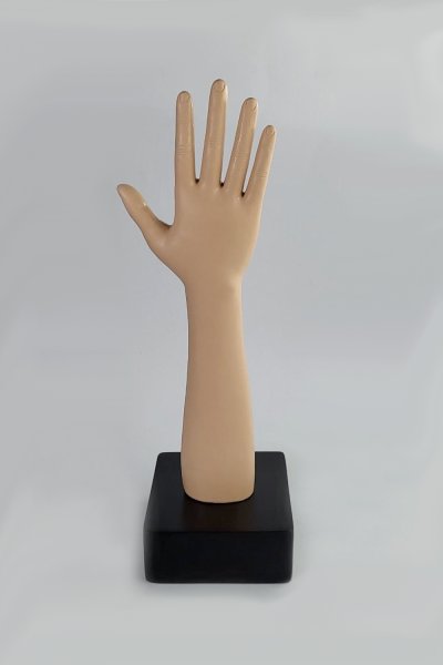 OT019-1 หุ่นฝึกการพันเฝือกแขน (ขวา)