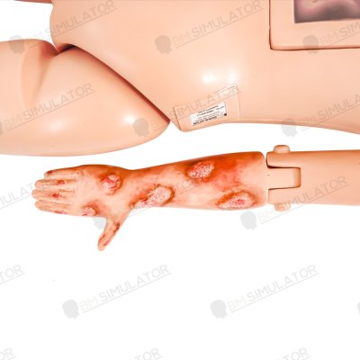 P078 หุ่นฝึกชันสูตรเด็ก 5 ขวบ