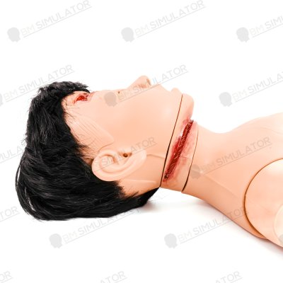 P078 หุ่นฝึกชันสูตรเด็ก 5 ขวบ