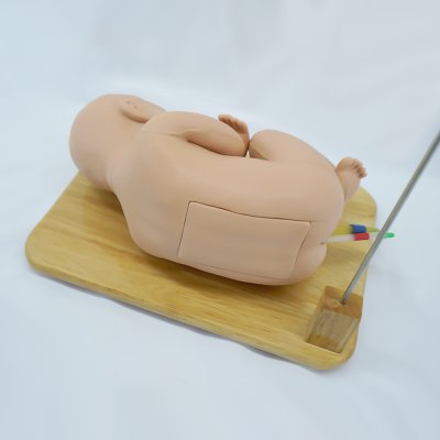 P001 หุ่นฝึกการเจาะน้ำไขสันหลังเด็กทารก (LP) / Child Lumbar Puncture Simulator