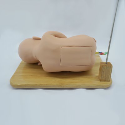 P001 หุ่นฝึกการเจาะน้ำไขสันหลังเด็กทารก (LP) / Child Lumbar Puncture Simulator