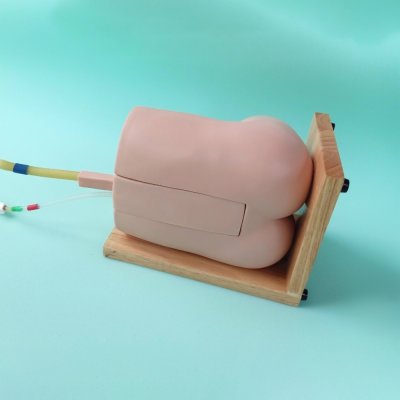 P002 หุ่นฝึกการเจาะน้ำไขสันหลังเด็ก 1-2 ขวบ (LP) / Child Lumbar Puncture Simulator