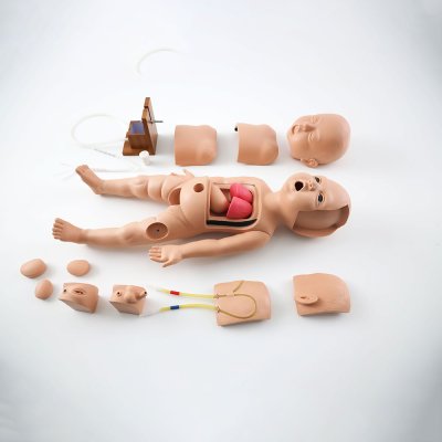 P008 หุ่นฝึกการช่วยฟื้นคืนชีพขั้นพื้นฐานทารก / Baby Basic Life Support Simulator