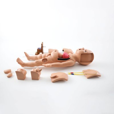 P008 หุ่นฝึกการช่วยฟื้นคืนชีพขั้นพื้นฐานทารก / Baby Basic Life Support Simulator