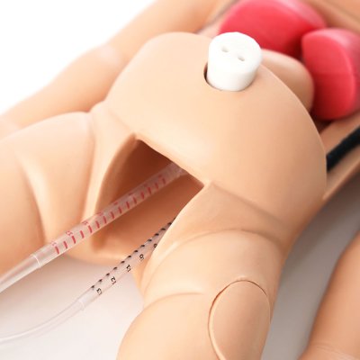 P008 หุ่นฝึกการช่วยฟื้นคืนชีพขั้นพื้นฐานทารก / Baby Basic Life Support Simulator