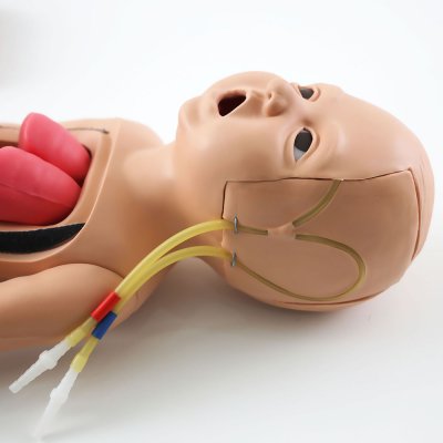 P008 หุ่นฝึกการช่วยฟื้นคืนชีพขั้นพื้นฐานทารก / Baby Basic Life Support Simulator