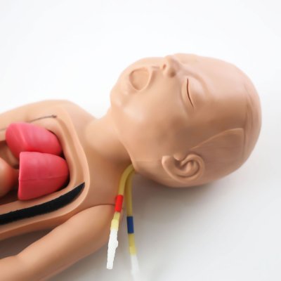 P008 หุ่นฝึกการช่วยฟื้นคืนชีพขั้นพื้นฐานทารก / Baby Basic Life Support Simulator