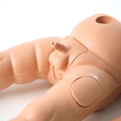 P008 หุ่นฝึกการช่วยฟื้นคืนชีพขั้นพื้นฐานทารก / Baby Basic Life Support Simulator