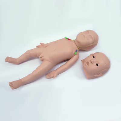 P011 หุ่นฝึกการให้สารน้ำทางศีรษะทารกแรกเกิด / Baby Head Intravenous Infusion Model