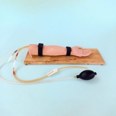 P012 หุ่นฝึกการเจาะหลอดเลือดแดงเด็ก  5 ขวบ (มือบีบ) / Artery Puncture Arm Model
