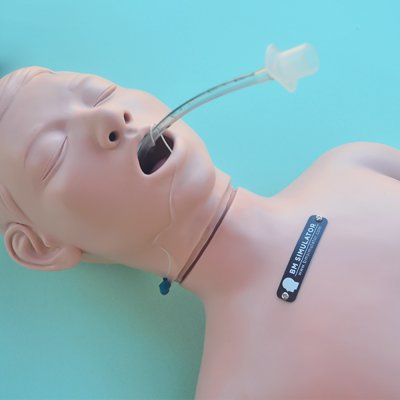 P017 หุ่นฝึกการใส่ท่อช่วยหายใจเด็กโต / Child Airway Intubation Model (10 Years)