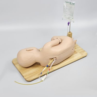 P020 หุ่นฝึกการเจาะน้ำไขสันหลังเด็ก 1-2ขวบ / Child Lumbar Puncture Simulator