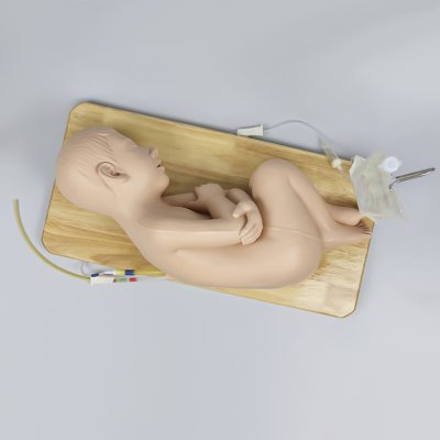 P020 หุ่นฝึกการเจาะน้ำไขสันหลังเด็ก 1-2ขวบ / Child Lumbar Puncture Simulator